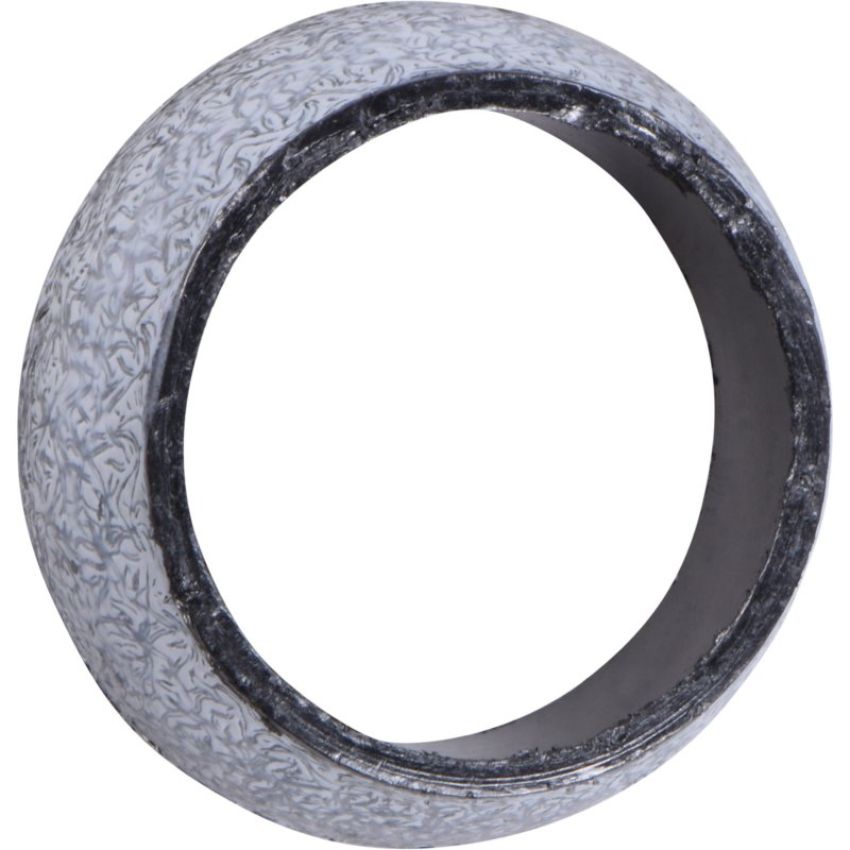 Autopart International Exhaust Pipe Gasket 210797823
