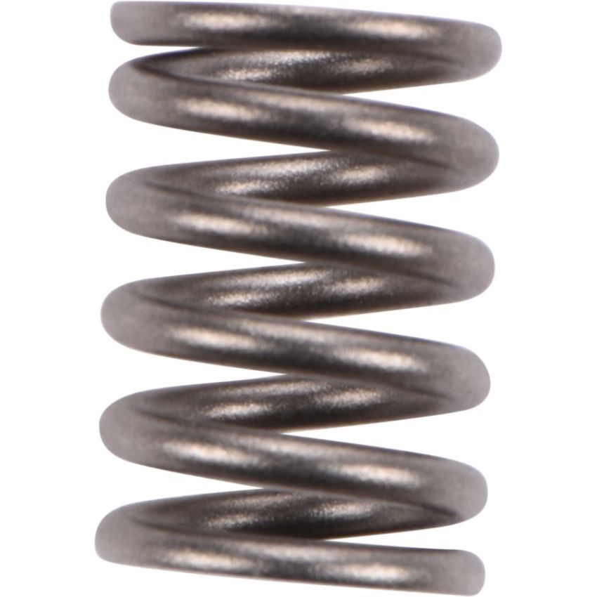 Autopart International Exhaust Spring 2108290553