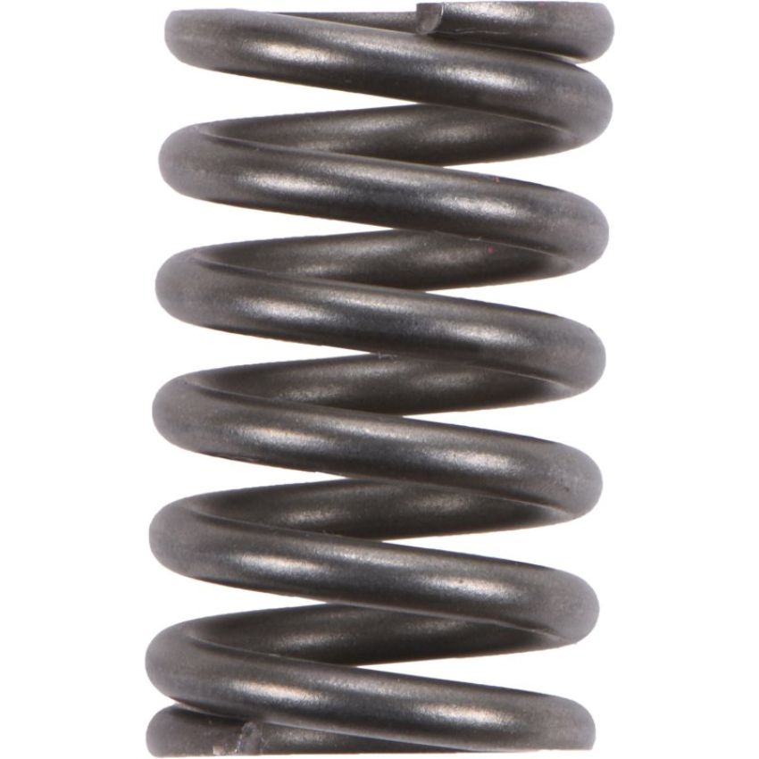 Autopart International Exhaust Spring 210849769
