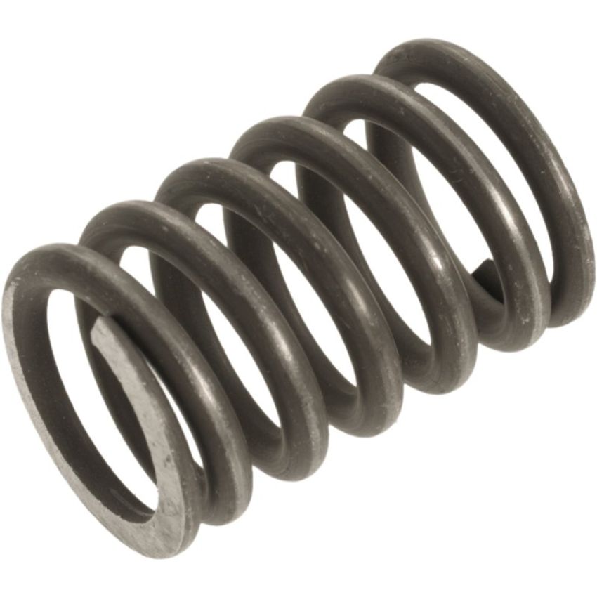 Autopart International Exhaust Spring 210862174