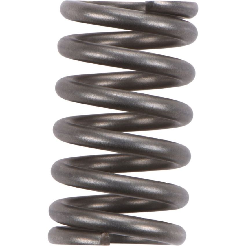 Autopart International Exhaust Spring 210873866