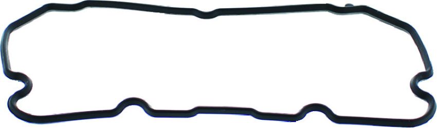 QuadBoss 570109 11-14 Polaris Ranger 800 4x4 EFI Valve Cover Gasket