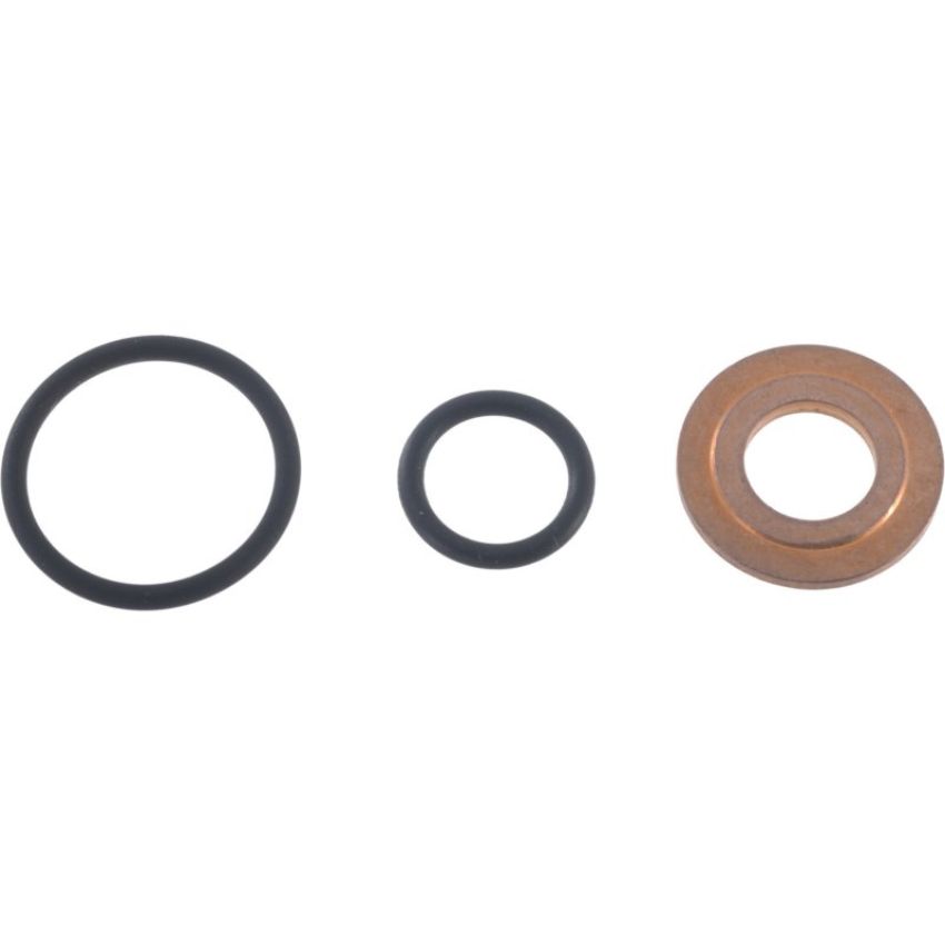 Autopart International Fuel Injector Seal Kit 2204485534