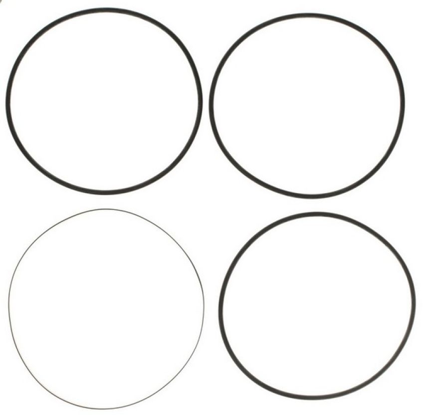 Clevite 223-7124 Engine Cylinder Liner Seal Set