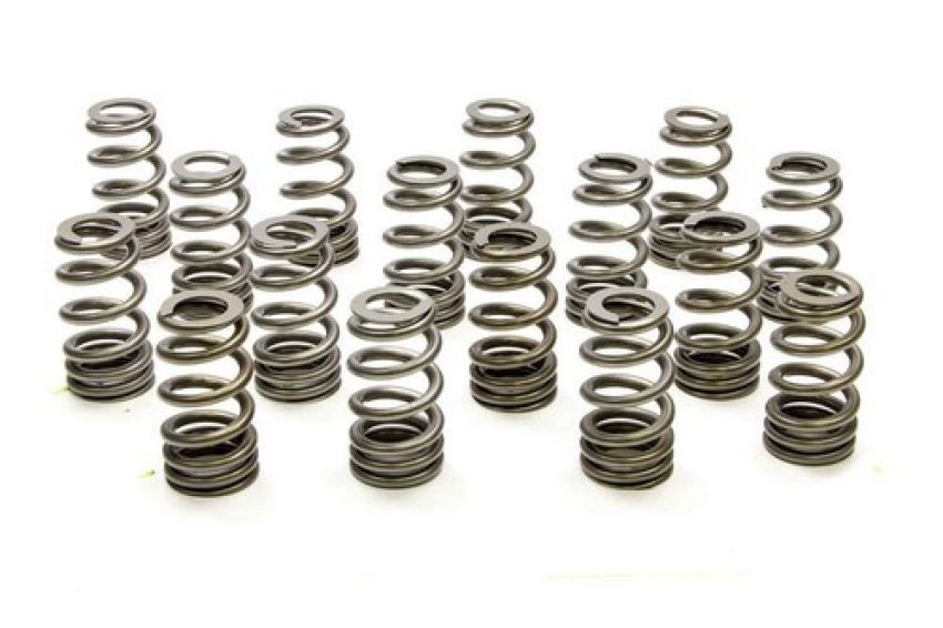 PAC RACING SPRINGS PACPAC-1409X-16 1.250 Valve Springs - Ovate Beehive (16)