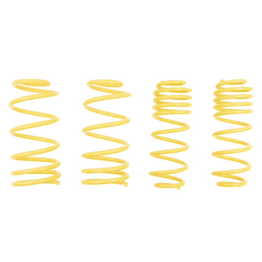 Suspension (66208 ST LOWERING SPRINGS)