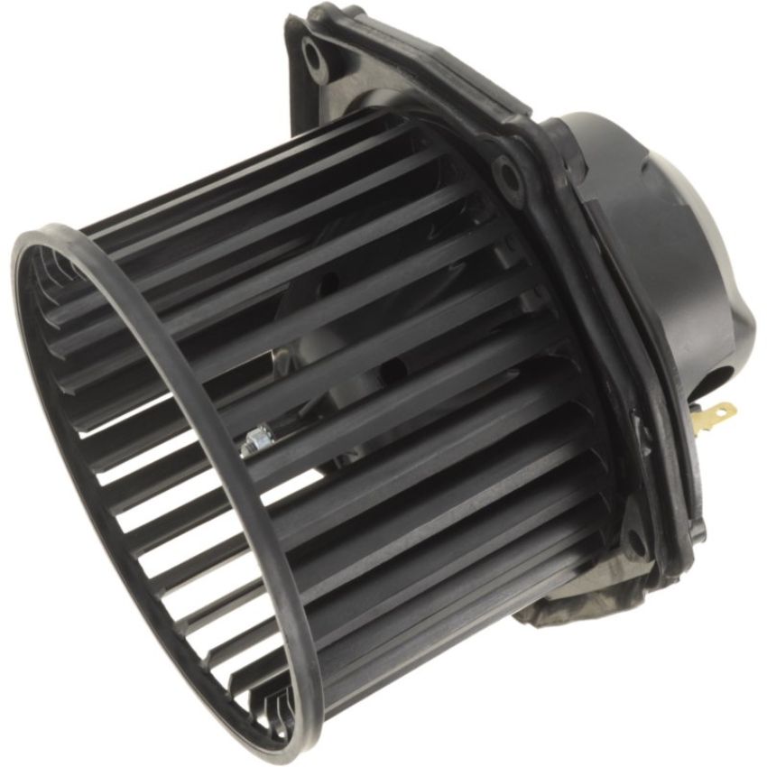 Autopart International Blower Motor 2400256209