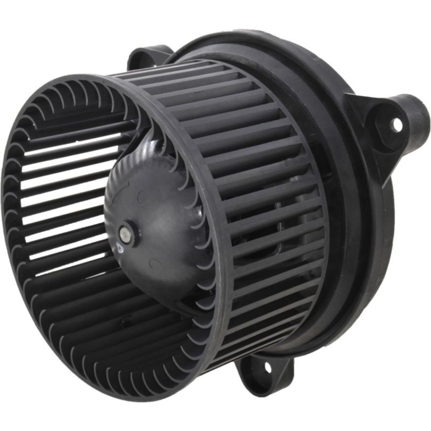 Autopart International Blower Motor 2400287286