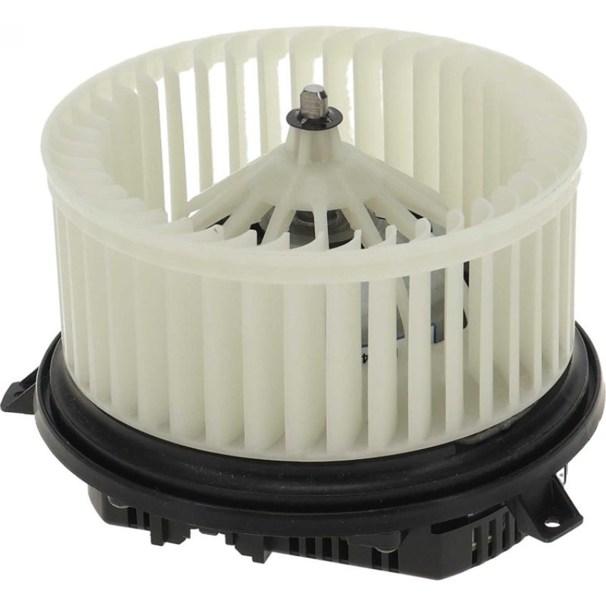 Autopart International Blower Motor 2400635445