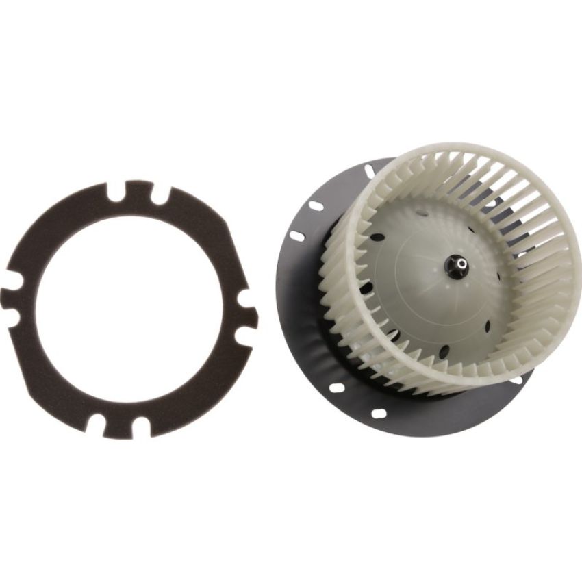 Autopart International Blower Motor 2400704905