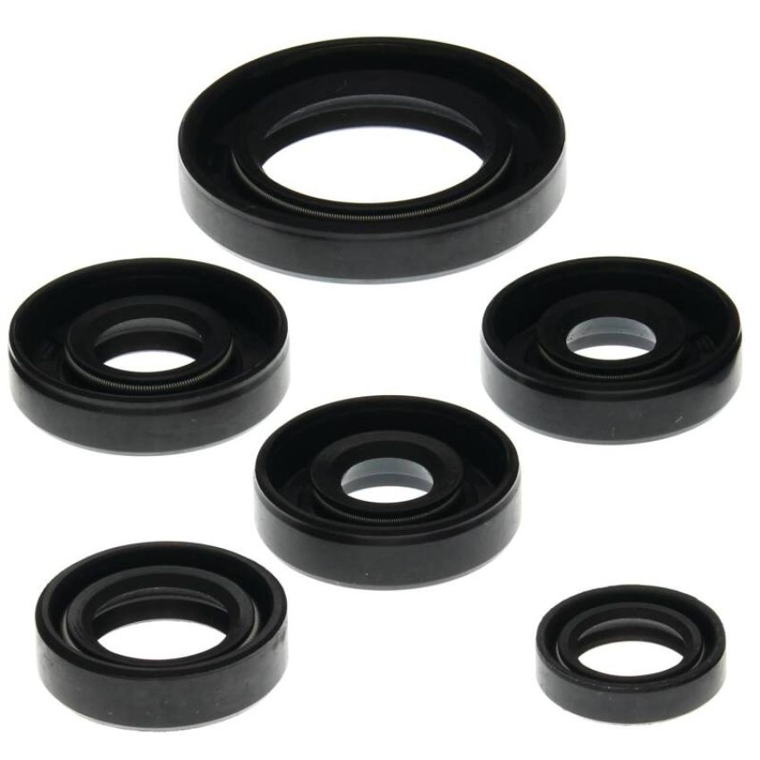 Vertex Pistons 822203 Vertex Gaskets 00-07 Can-Am DS650 Oil Seal Kit