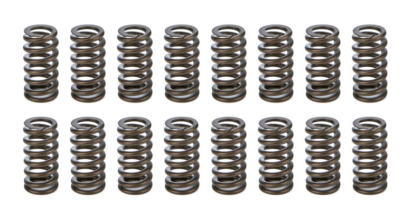 PAC RACING SPRINGS PACPAC-1233-16 1.025 Valve Springs - Ovate Beehive (16)