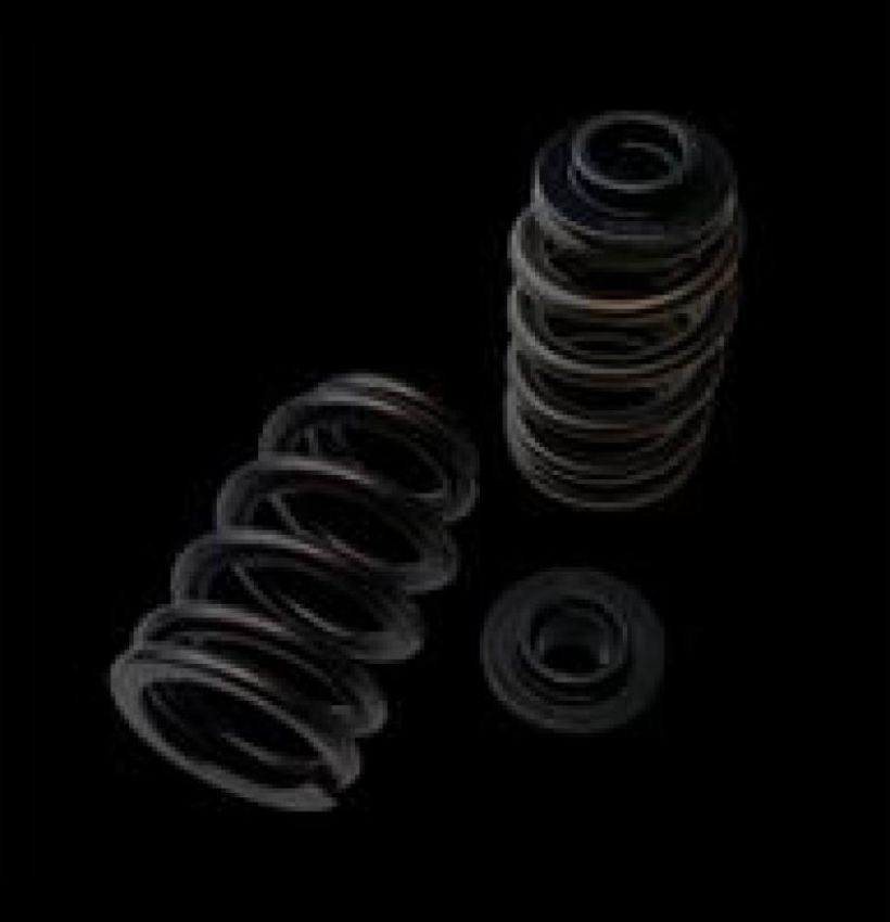 Brian Crower BC0900D Polaris XP1000/XPTurbo/XP900 Dual Spring/Titanium Retainer/Seat Kit