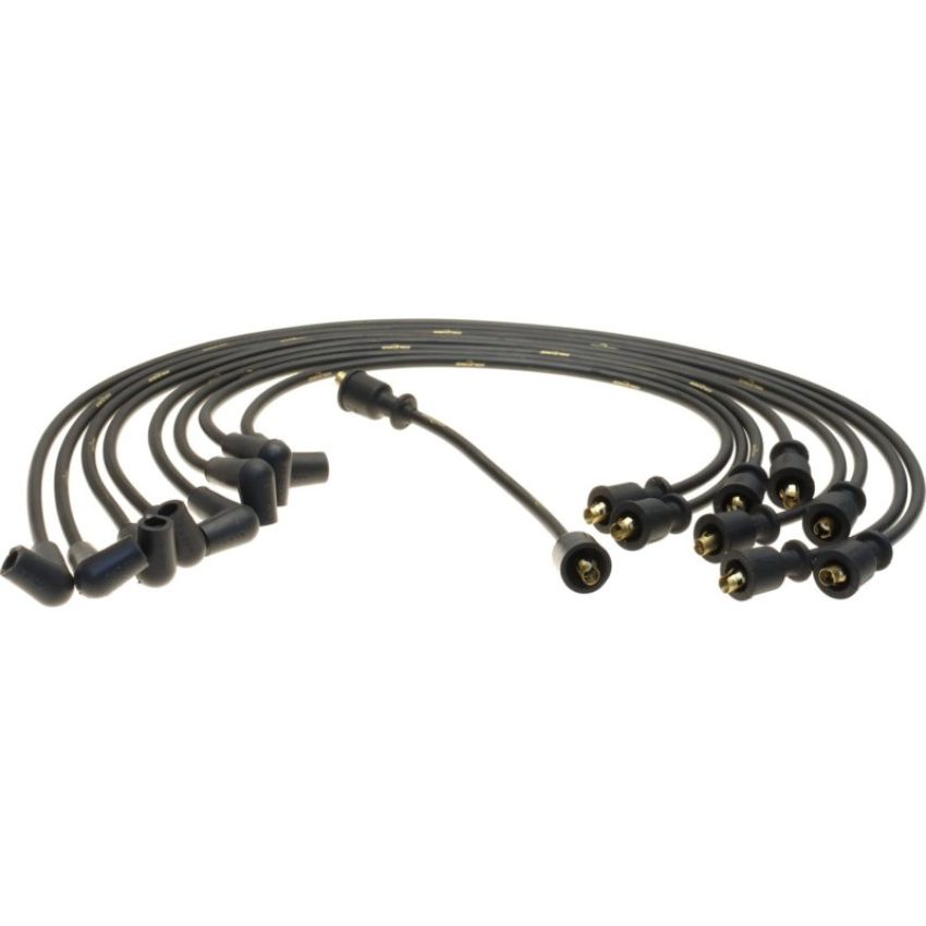 Autopart International Ignition Wire Set 250079392