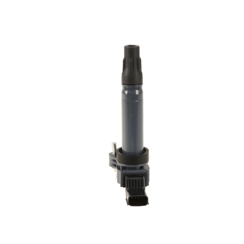 Autopart International Ignition Coil 2505590176