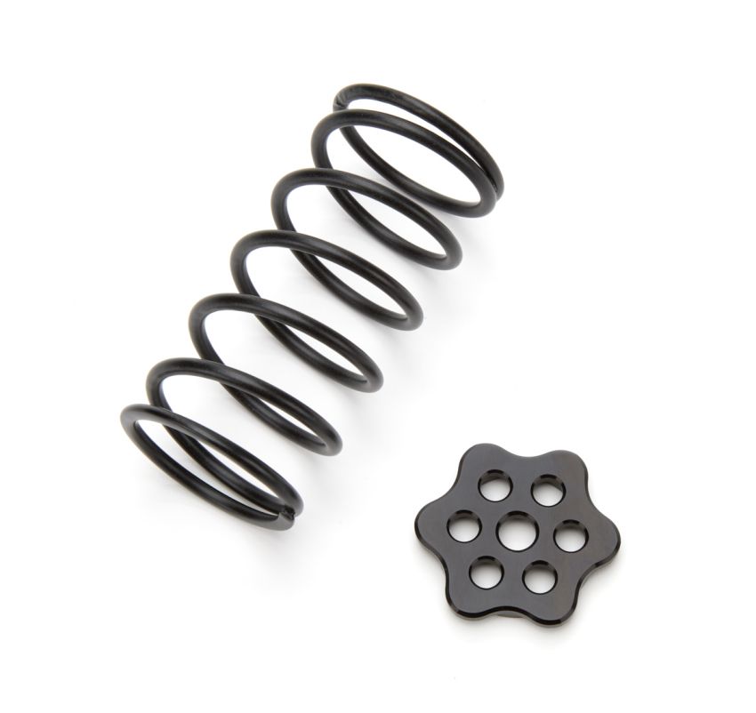 Ti22 PERFORMANCE TIP4220 Master Cylinder Return Spring Black Steel Kit