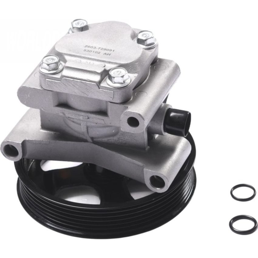 Autopart International P/S Pump 2603729091