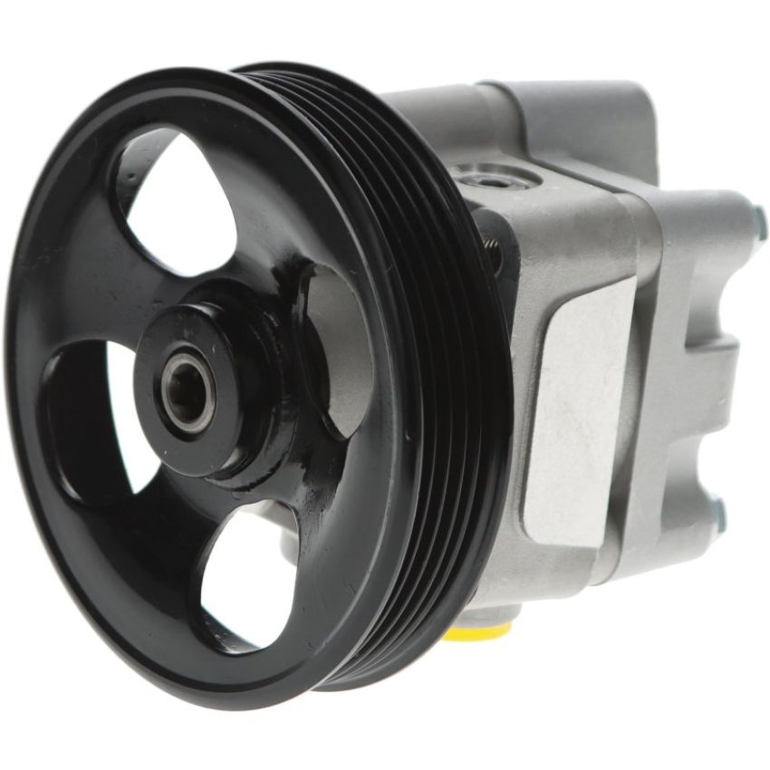 Autopart International P/S Pump 2603729181