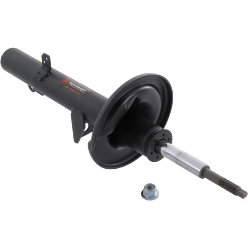 Autopart International Strut Assembly 270108994