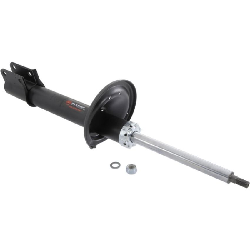 Autopart International Strut Assembly 270108996
