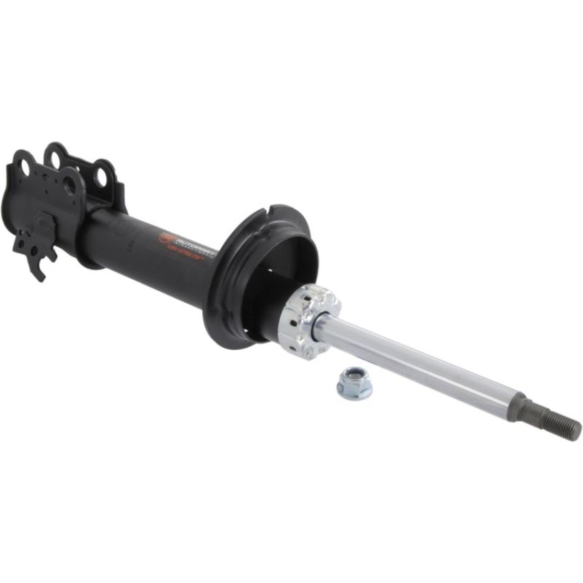 Autopart International Strut Assembly 2701204637