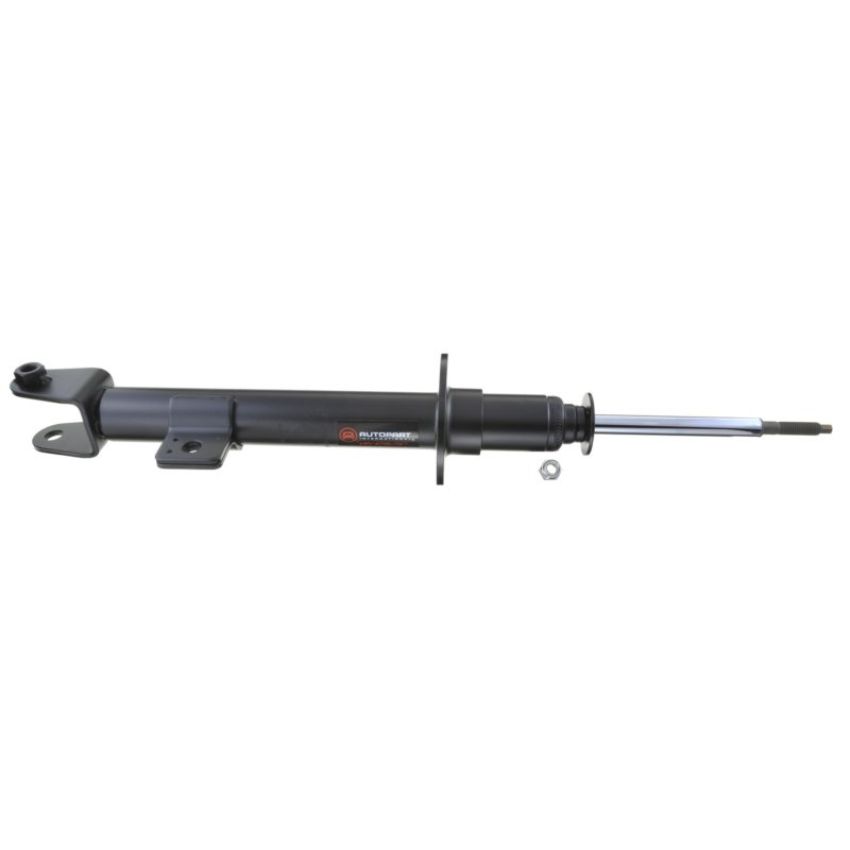 Autopart International Strut Assembly 2701248140