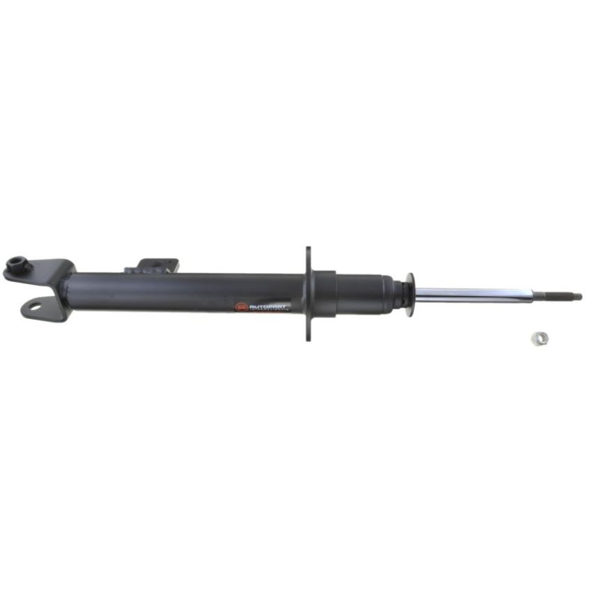 Autopart International Strut Assembly 2701248141