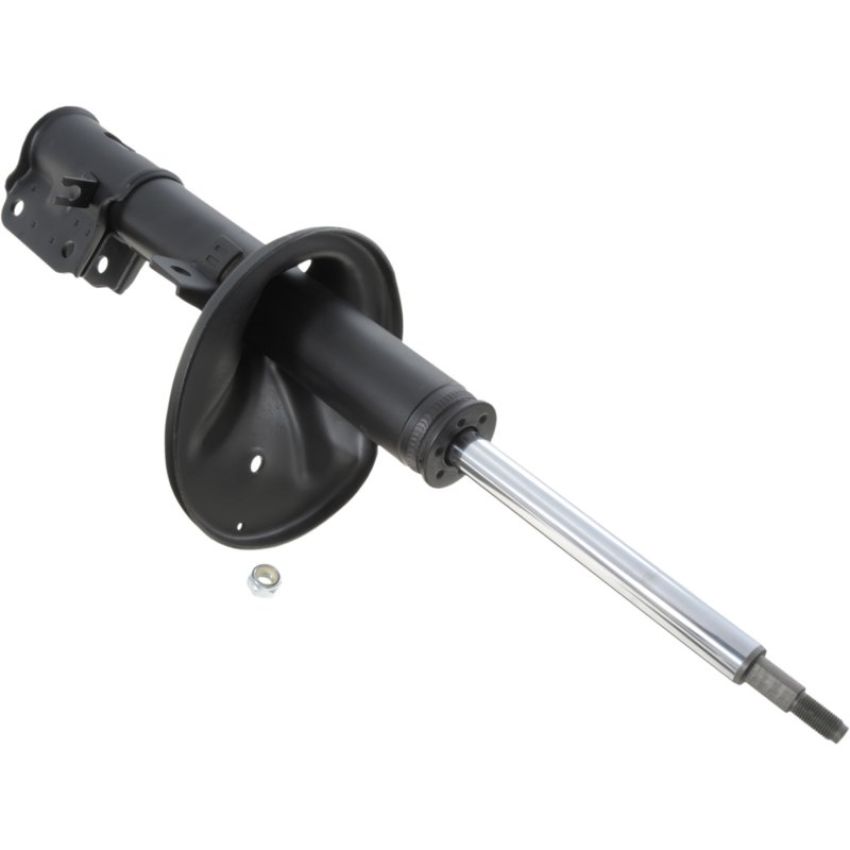 Autopart International Strut Assembly 2701248224