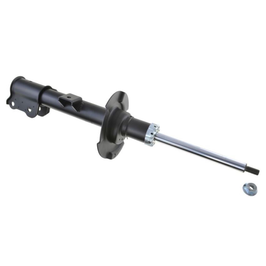 Autopart International Strut Assembly 2701248230