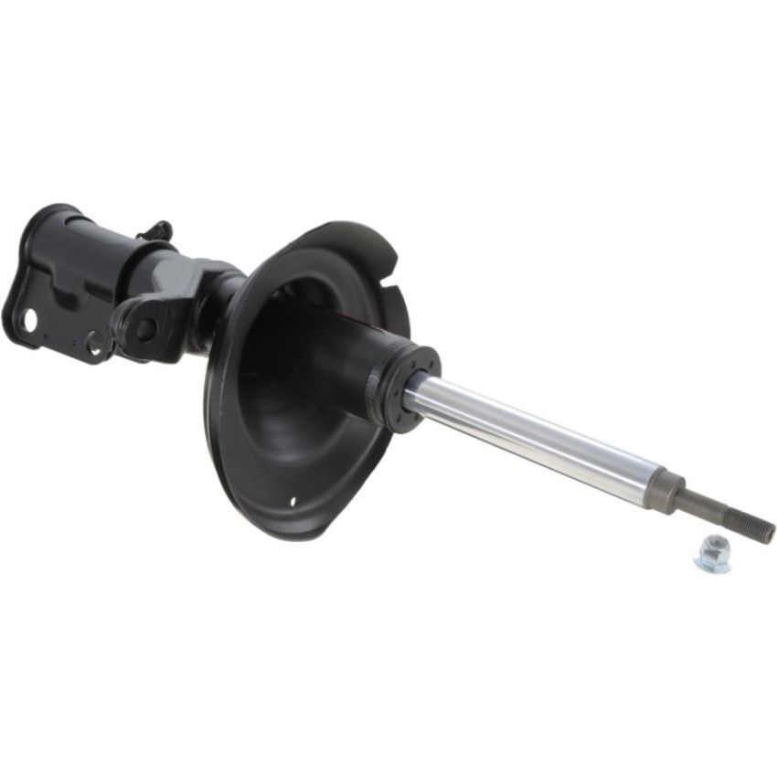 Autopart International Strut Assembly 2701248239