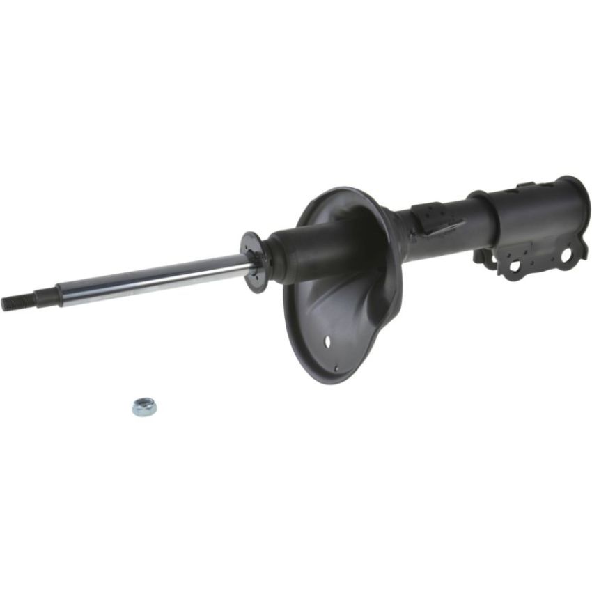 Autopart International Strut Assembly 2701248248