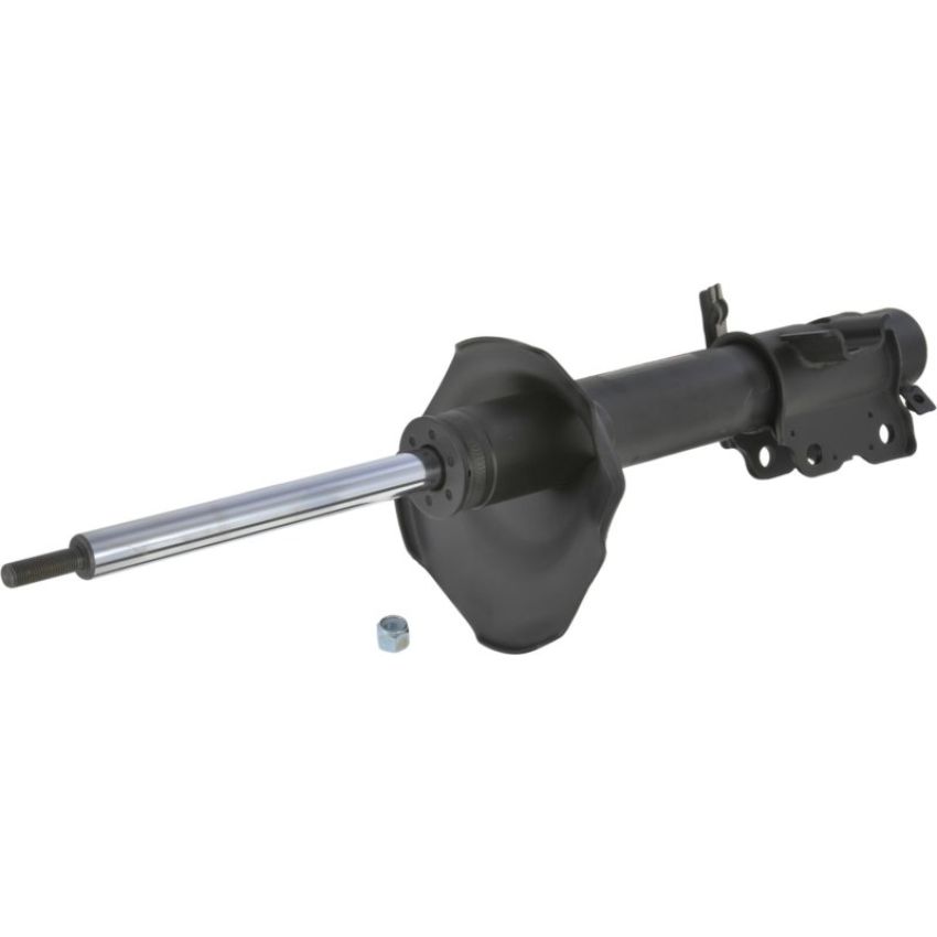 Autopart International Strut Assembly 2701248249