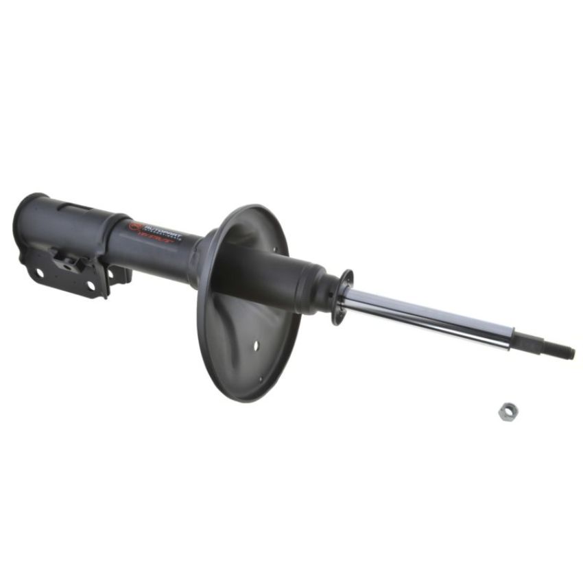Autopart International Strut Assembly 2701248267