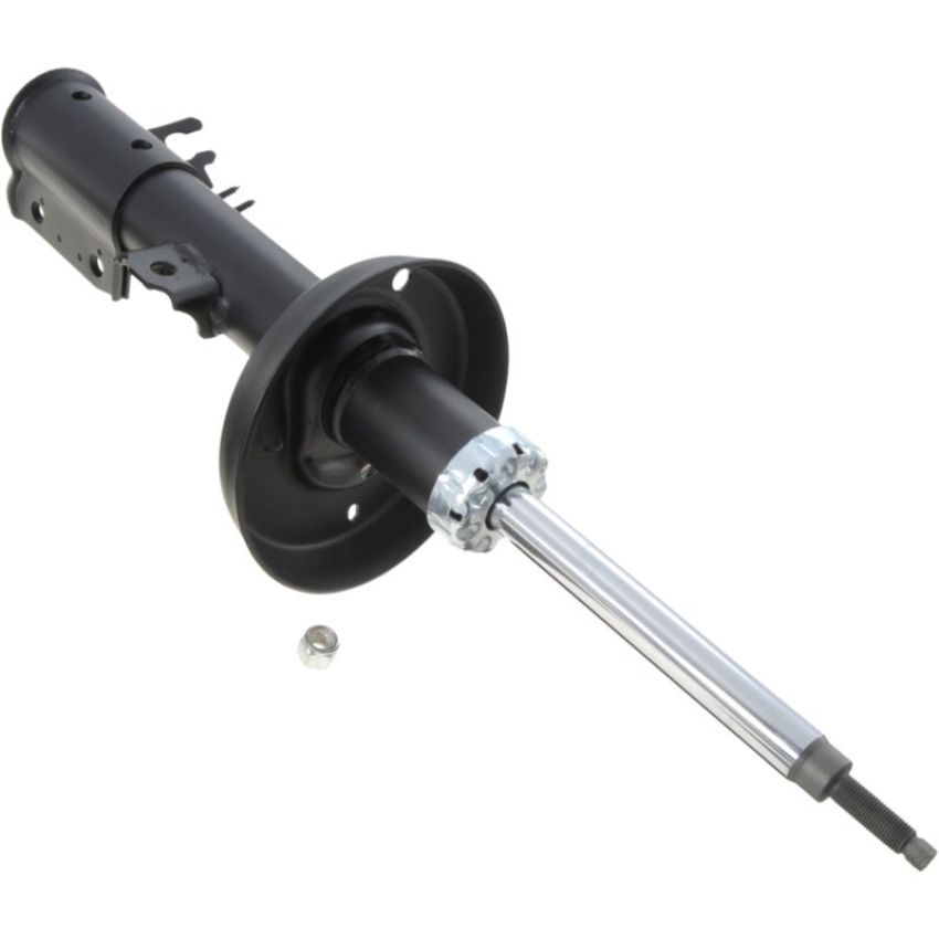 Autopart International Strut Assembly 2701248277