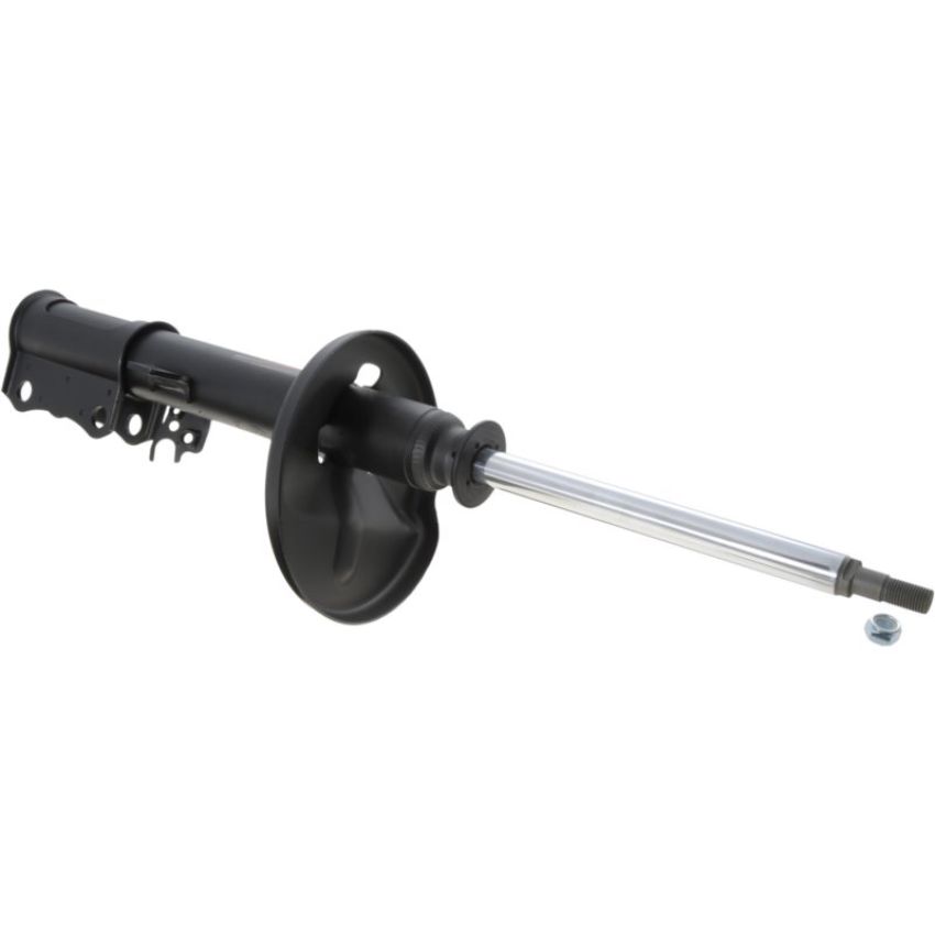 Autopart International Strut Assembly 2701248281