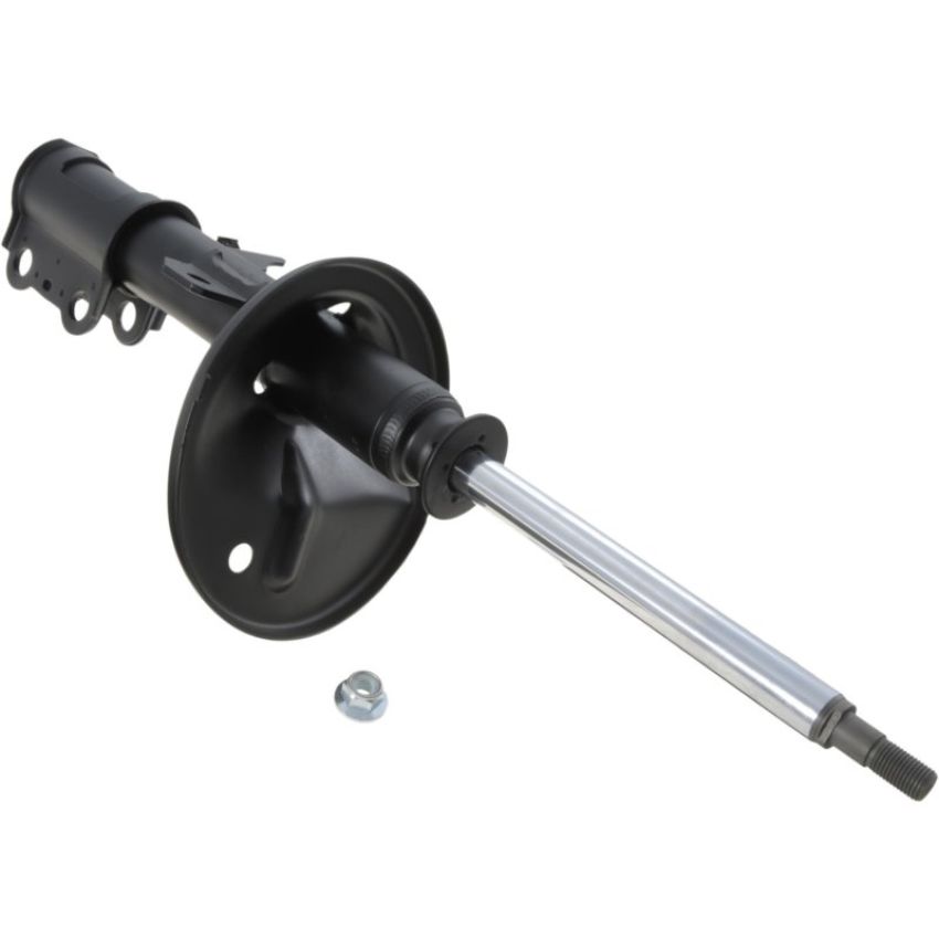 Autopart International Strut Assembly 2701248284