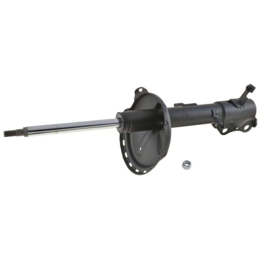 Autopart International Strut Assembly 2701248293