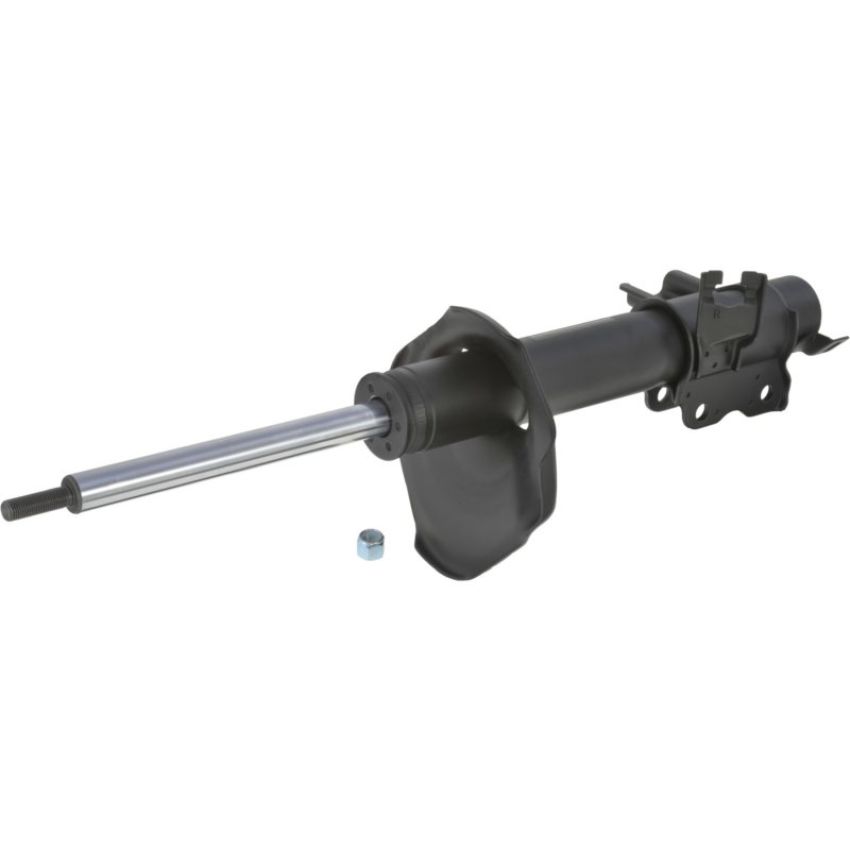 Autopart International Strut Assembly 2701248312