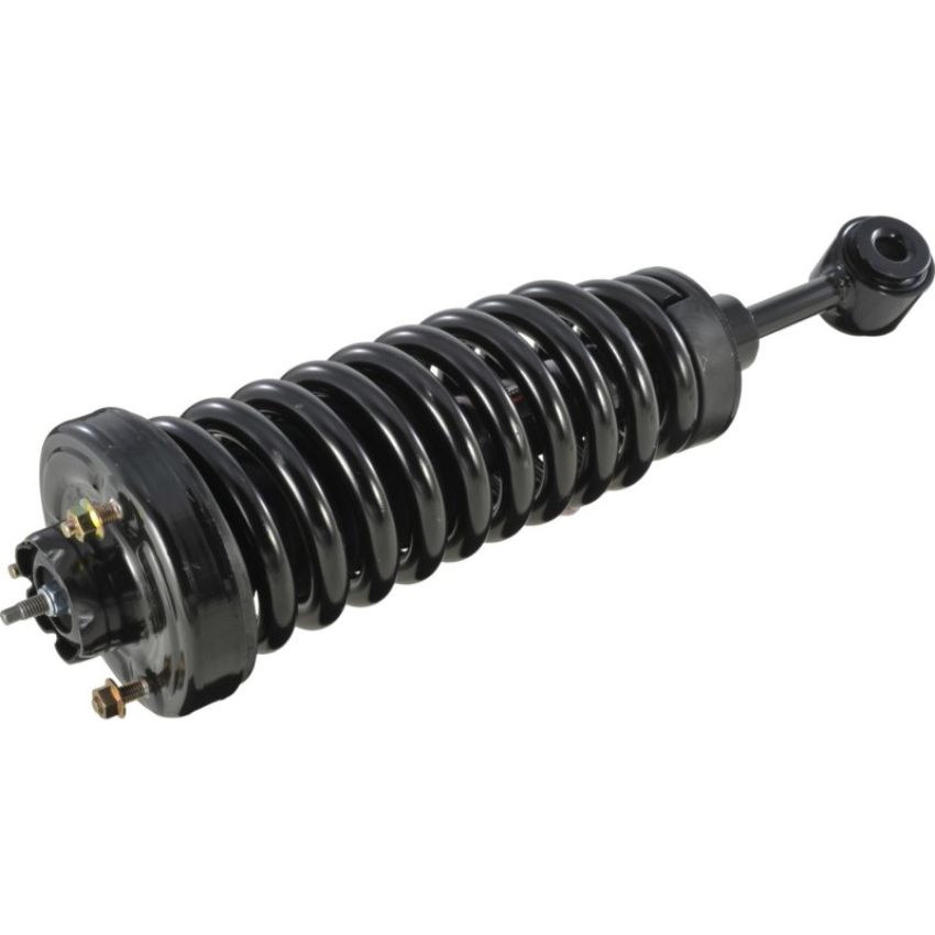 Autopart International Strut/Coil Spring Assy 2701289585