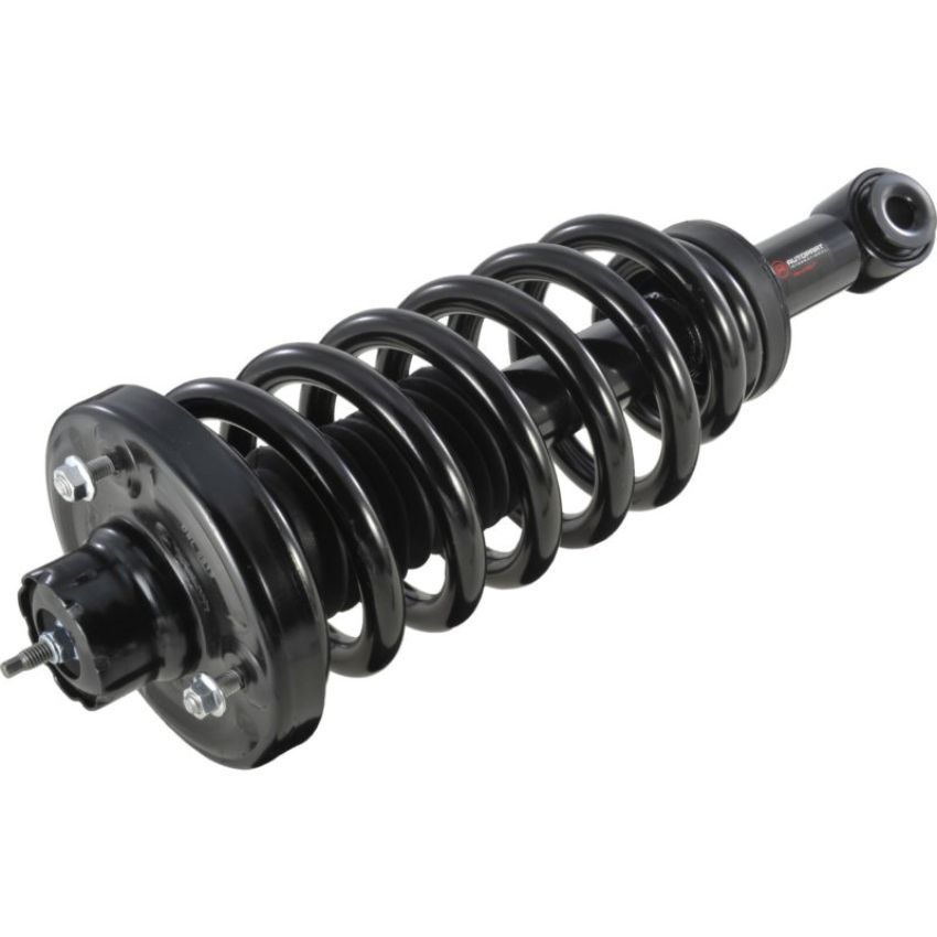 Autopart International Strut/Coil Spring Assy 2701289586