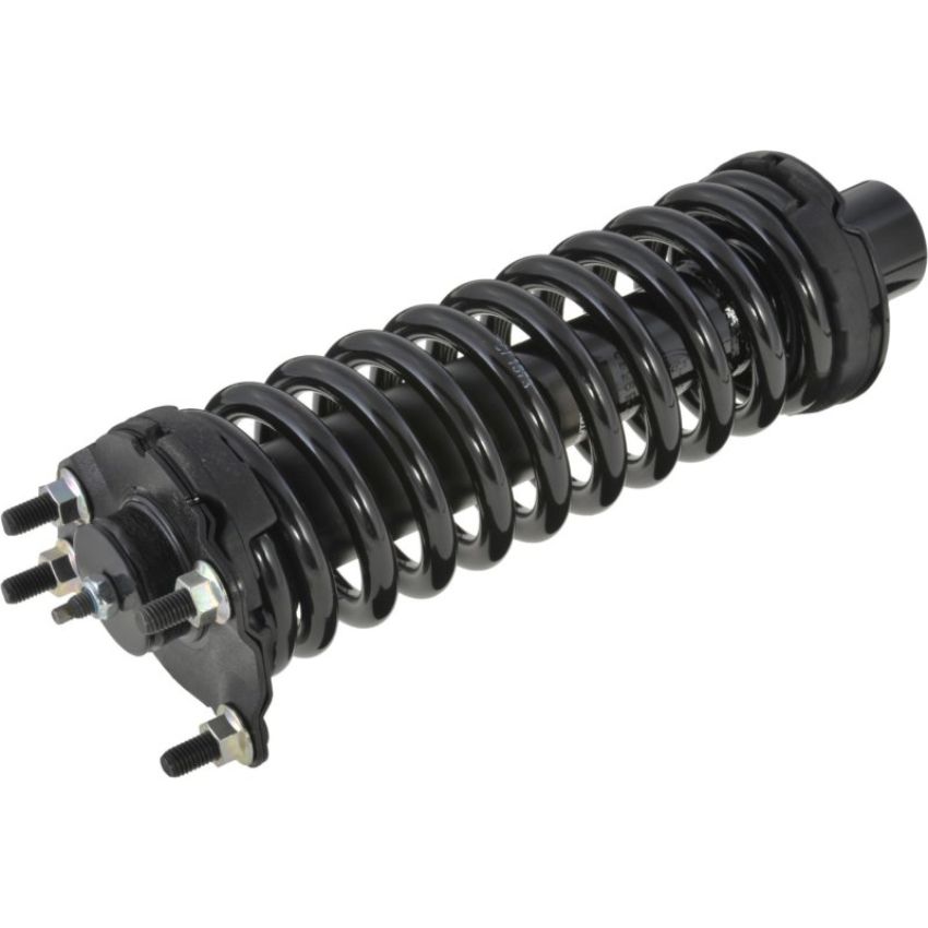 Autopart International Strut/Coil Spring Assy 2701289589
