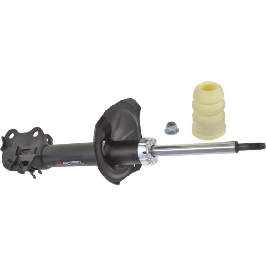 Autopart International Strut Assembly 2701316355