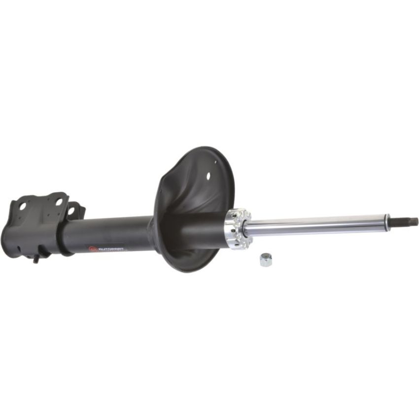 Autopart International Strut Assembly 2701316358