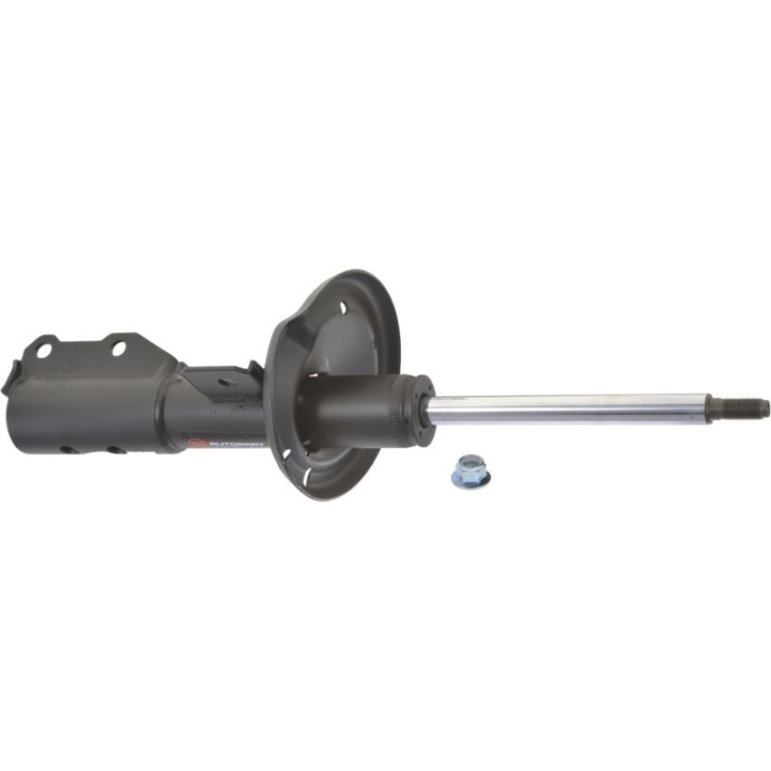 Autopart International Strut Assembly 2701316365