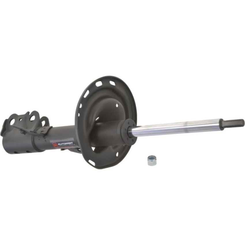 Autopart International Strut Assembly 2701317183