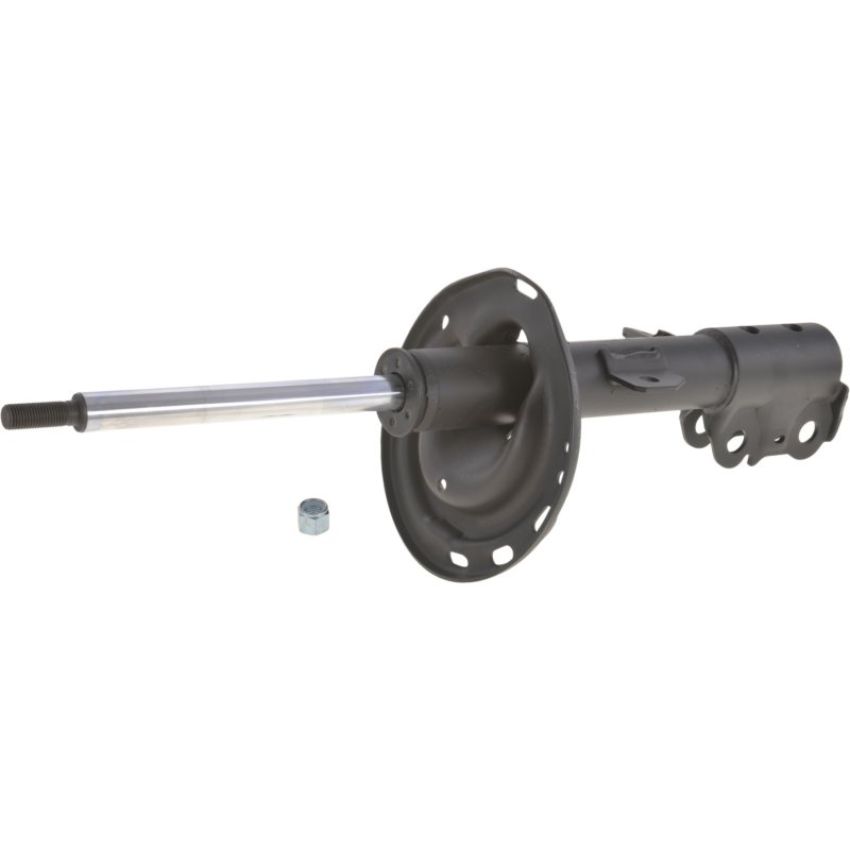 Autopart International Strut Assembly 2701317184