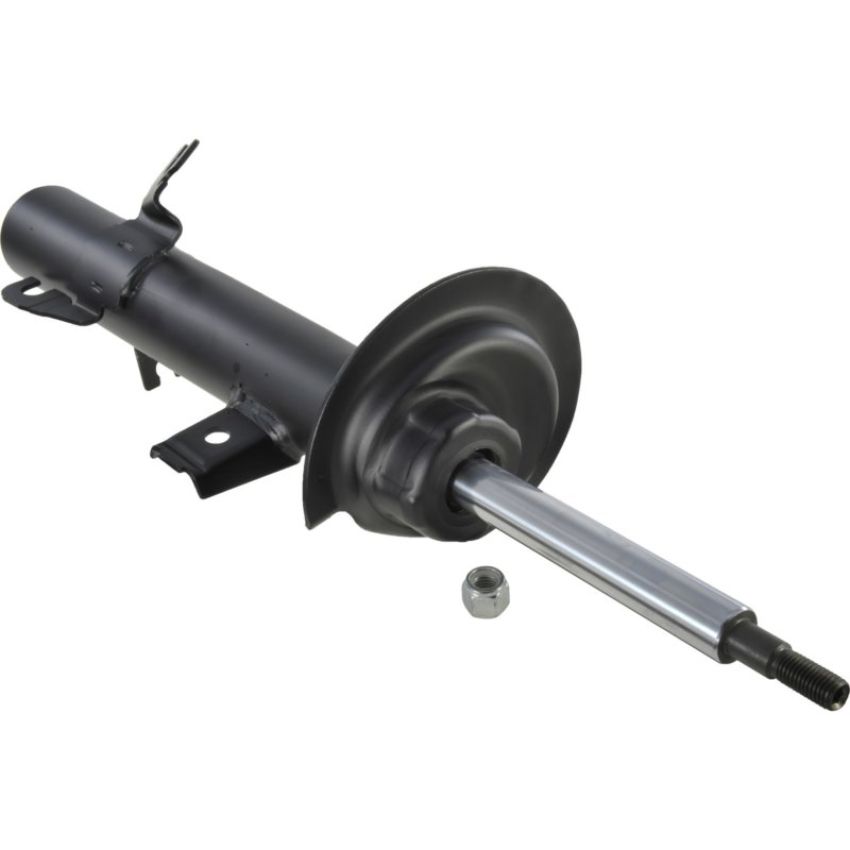 Autopart International Strut Assembly 2701321054