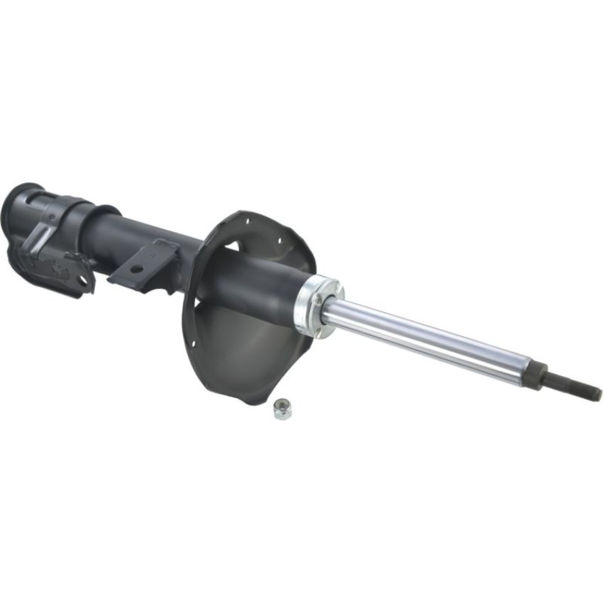 Autopart International Strut Assembly 2701412058