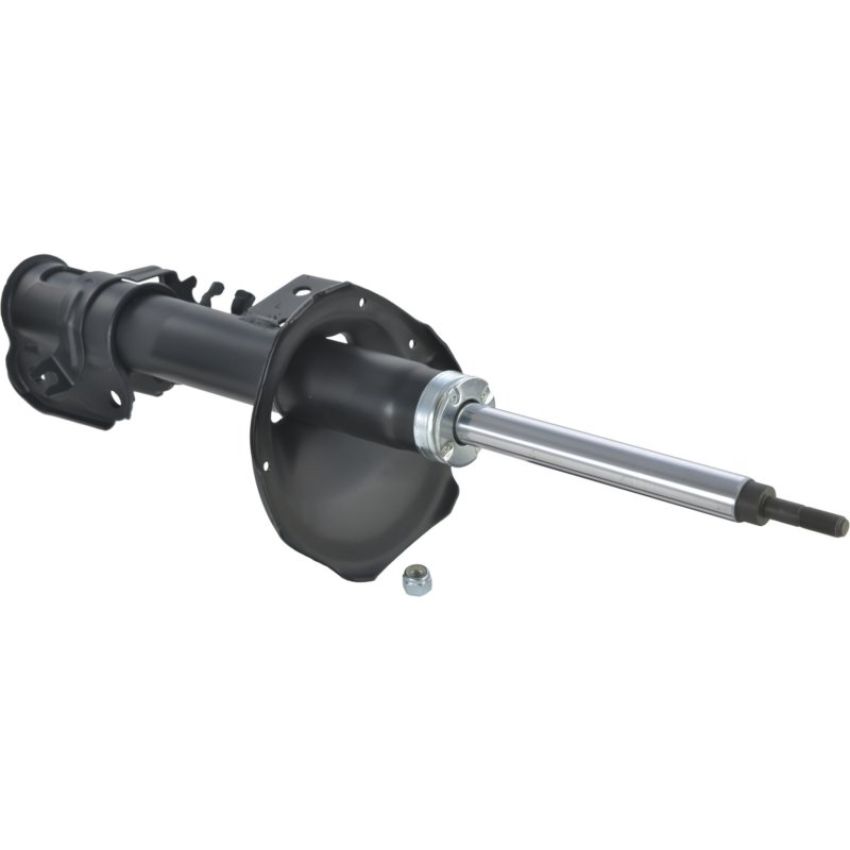 Autopart International Strut Assembly 2701412059