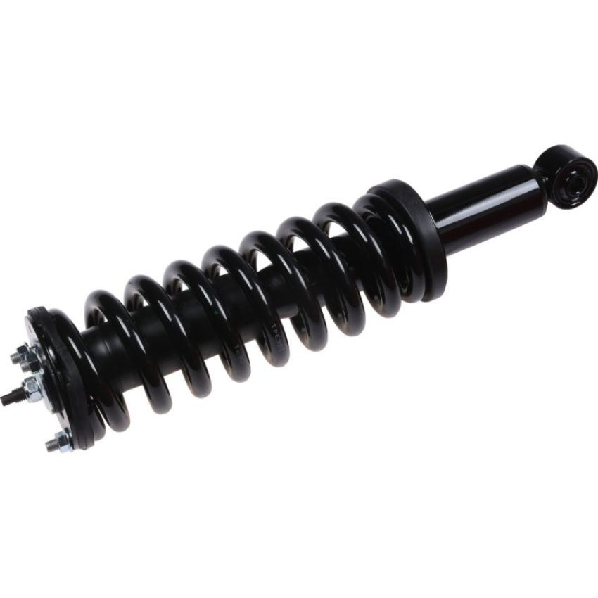 Autopart International Strut/Coil Spring Assy 2701412139